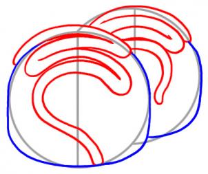 302x253 How To Draw How To Draw A Chocolate