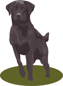219x298 Collection Of Free Labrador Drawing Chocolate Lab Download On Ui Ex