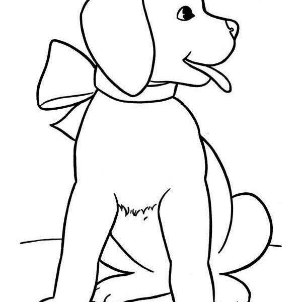 600x600 Golden Retriever Drawing At Getdrawings Com