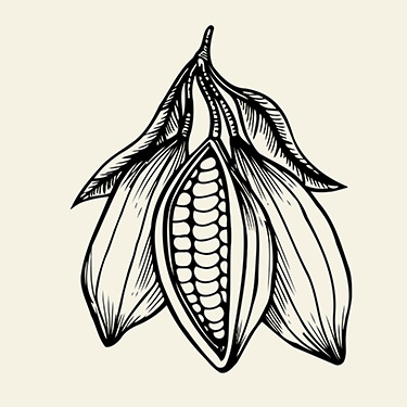 375x375 Roots Of Cacao Chocolate Lab New York Campus Ice