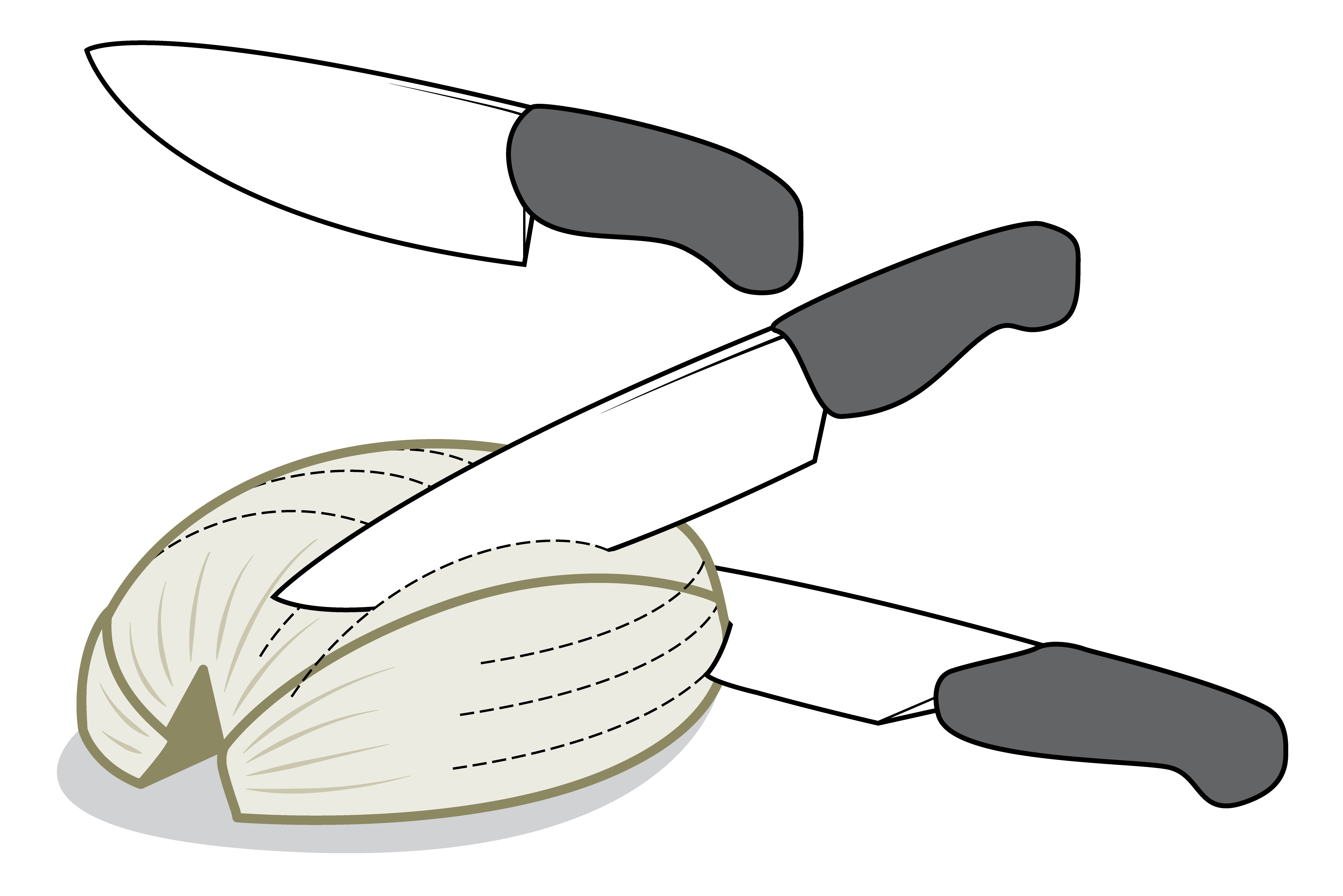 4290x2865 How To Chop Fennel Cook's Illustrated