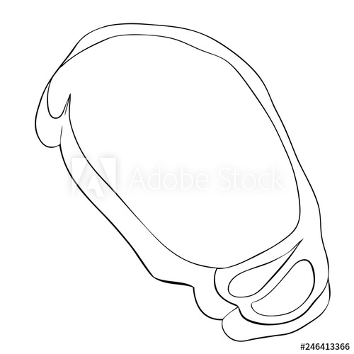 500x500 Raw Chop Vector Illustration Isolated On White Background