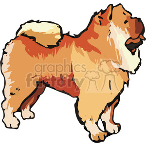 300x300 Chow Chow Dog Clipart Royalty Free Clipart