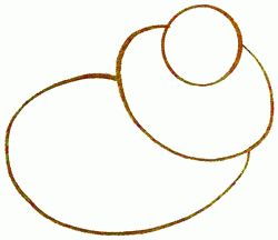 250x216 Exam Guide Online