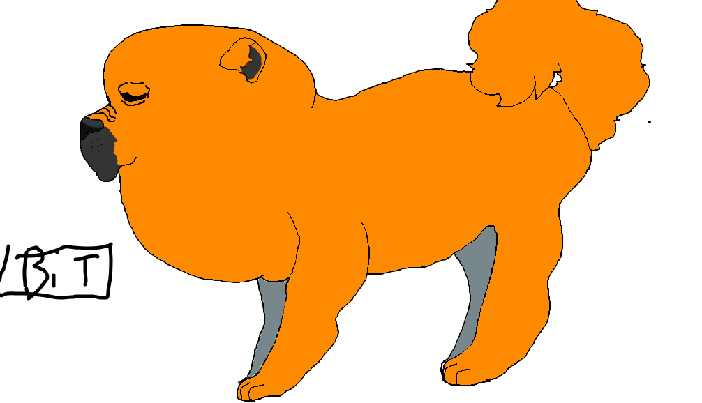 1006x578 Non Detailed Lil Chow Chow