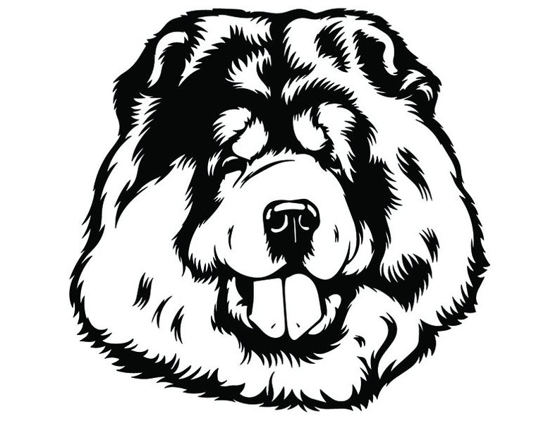 Chow Chow Drawing | Free download on ClipArtMag