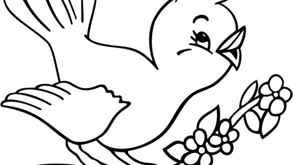 585x329 Bird Drawings For Kids
