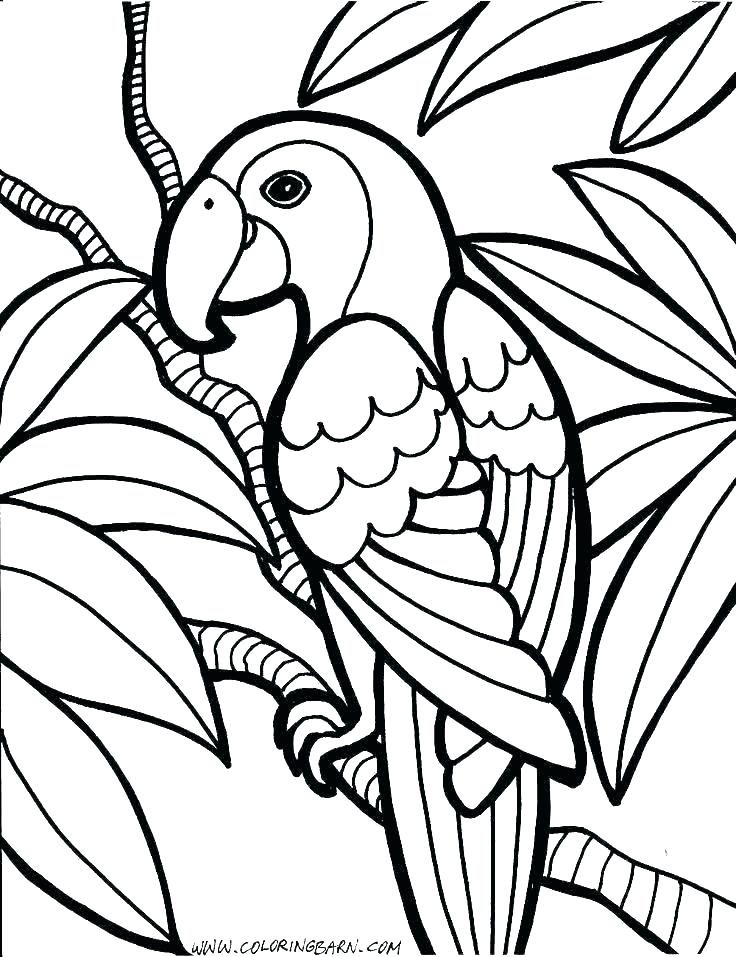 736x957 Coloring Pages For Boys To Print Free Printable G Pages For Kids