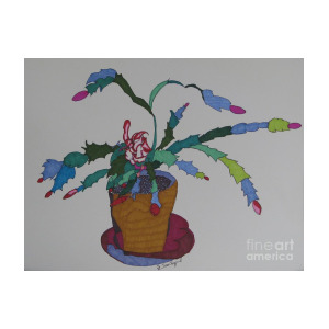 300x300 First Bloom Christmas Cactus Mixed Media