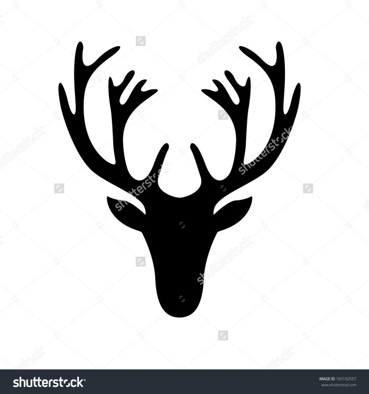 728x777 Deer Drawing Easy Step