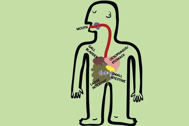620x413 What Christmas Dinner Does To Your Body