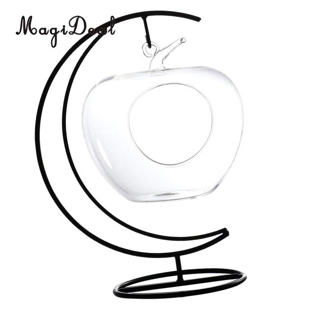 640x640 Apple Shaped Glass Flower Vase Christmas Dinner Planter Terrarium