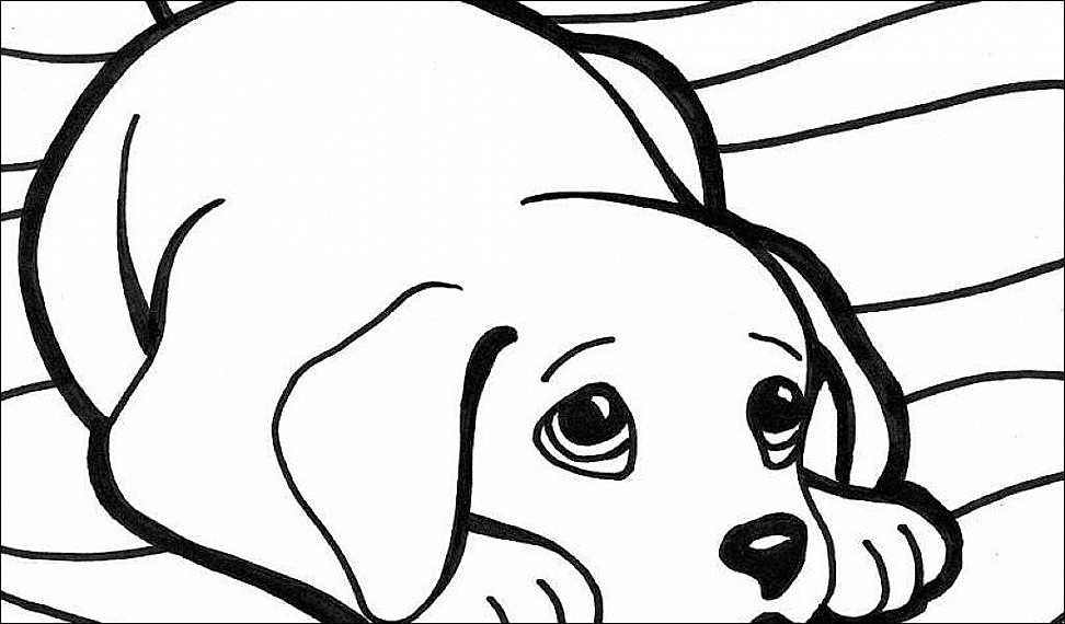 972x570 Christmas Dog Printable Coloring Pages Free Coloring Pages