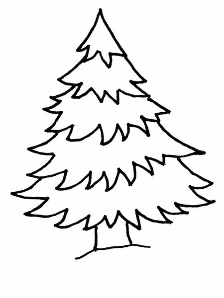 450x600 Christmas Tree Drawing For Kids With Colour