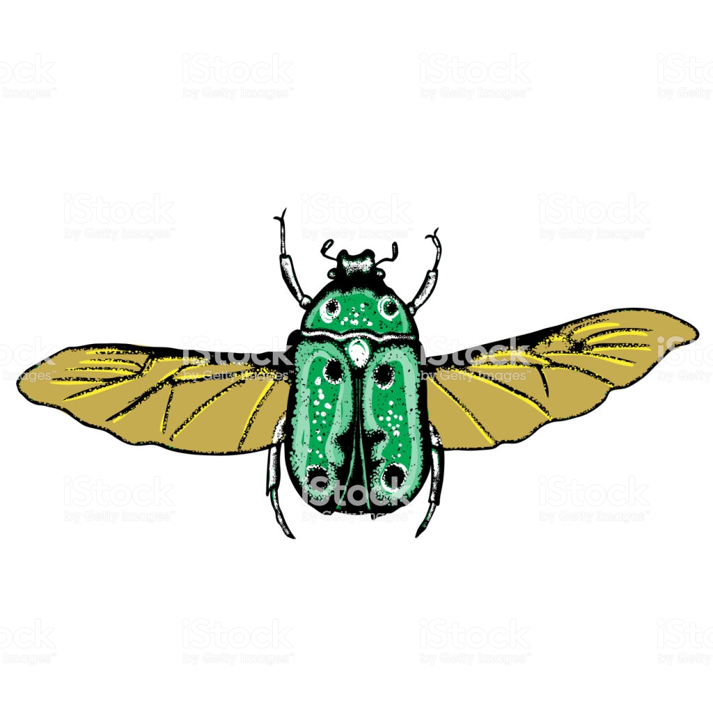 1024x1024 Beetle Drawing Game Vw Classic Cool Christmas Tutorial Bug