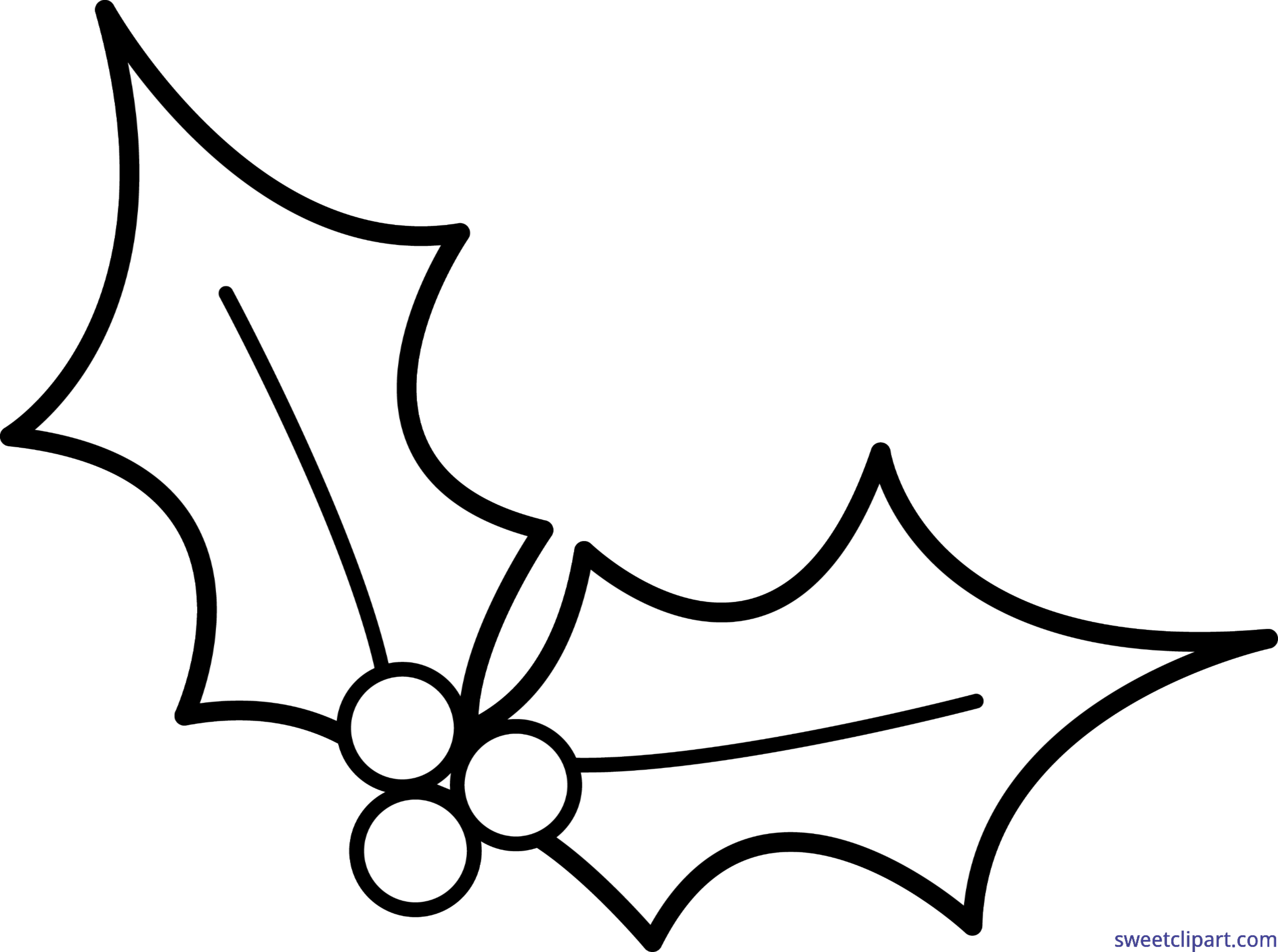 5432x4046 Collection Of Free Holly Drawing Outline Download On Ui Ex
