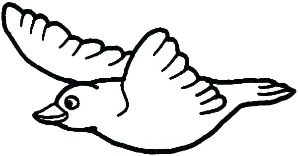 600x315 Angry Birds Coloring Pages Christmas