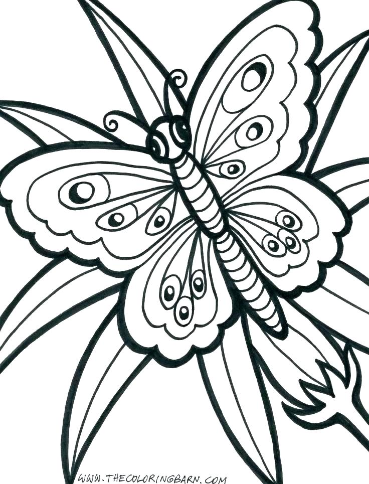 736x965 Christmas Flower Coloring Pages Palmarosa