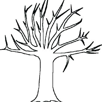 350x350 Family Tree Coloring Pages For Kids Blank Drawing Templates Flyers