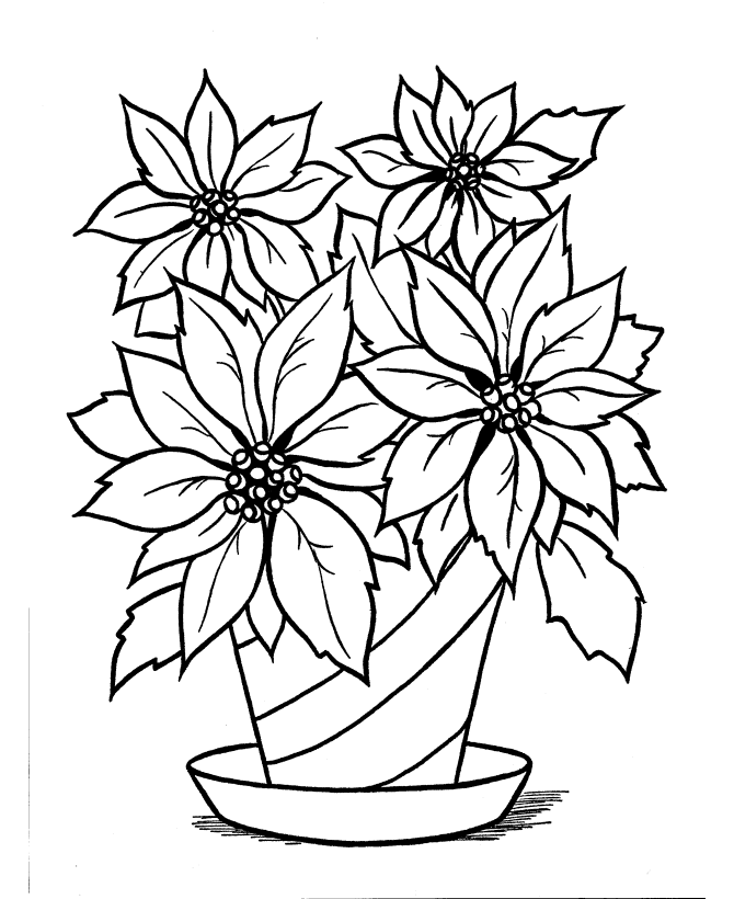 670x820 Christmas Poinsettia Coloring Pages Bible Printables Christmas