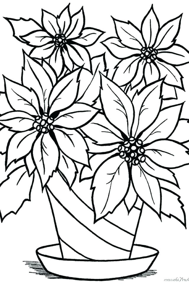 640x960 Coloring Pages Christmas Flower Coloring Pages Poinsettia