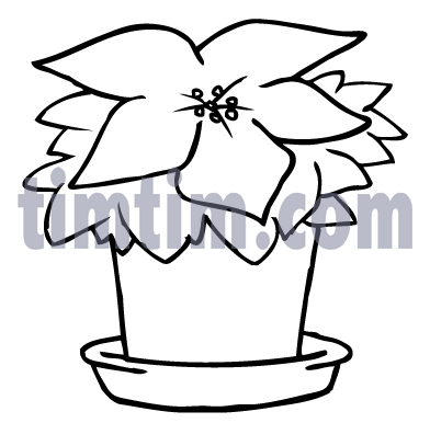 392x386 Free Drawing Of A Poinsettia Flower Bw From The Category Building