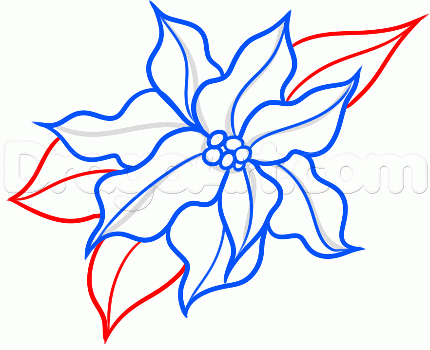 882x718 How To Draw A Christmas Flower, Step