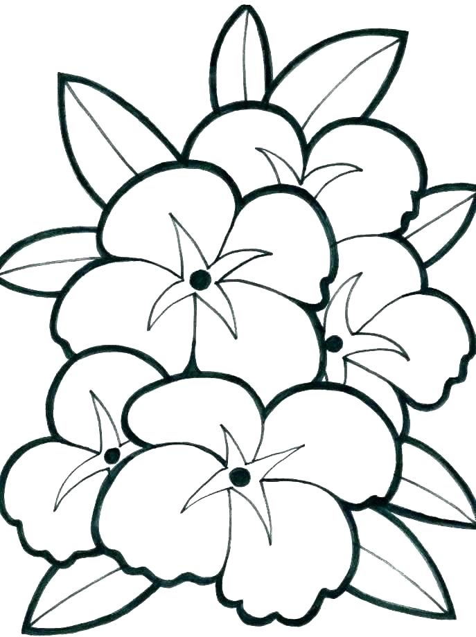 687x920 Printable Coloring Pages Flowers Flower Printable Colouring Sheets