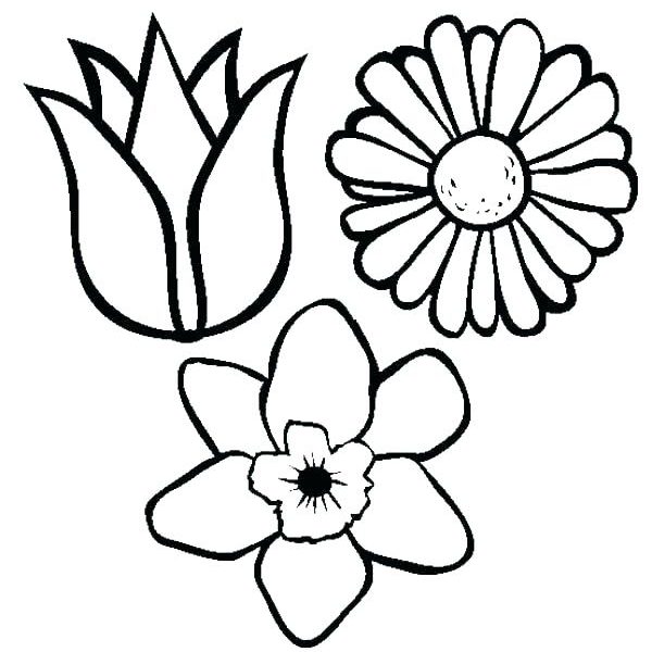 600x600 Christmas Flower Coloring Pages With Nativity Crafts
