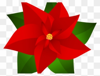 320x243 Poinsettia Clipart Top Border