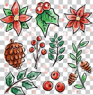 310x317 Watercolor Painting Flower Drawing Euclidean Christmas