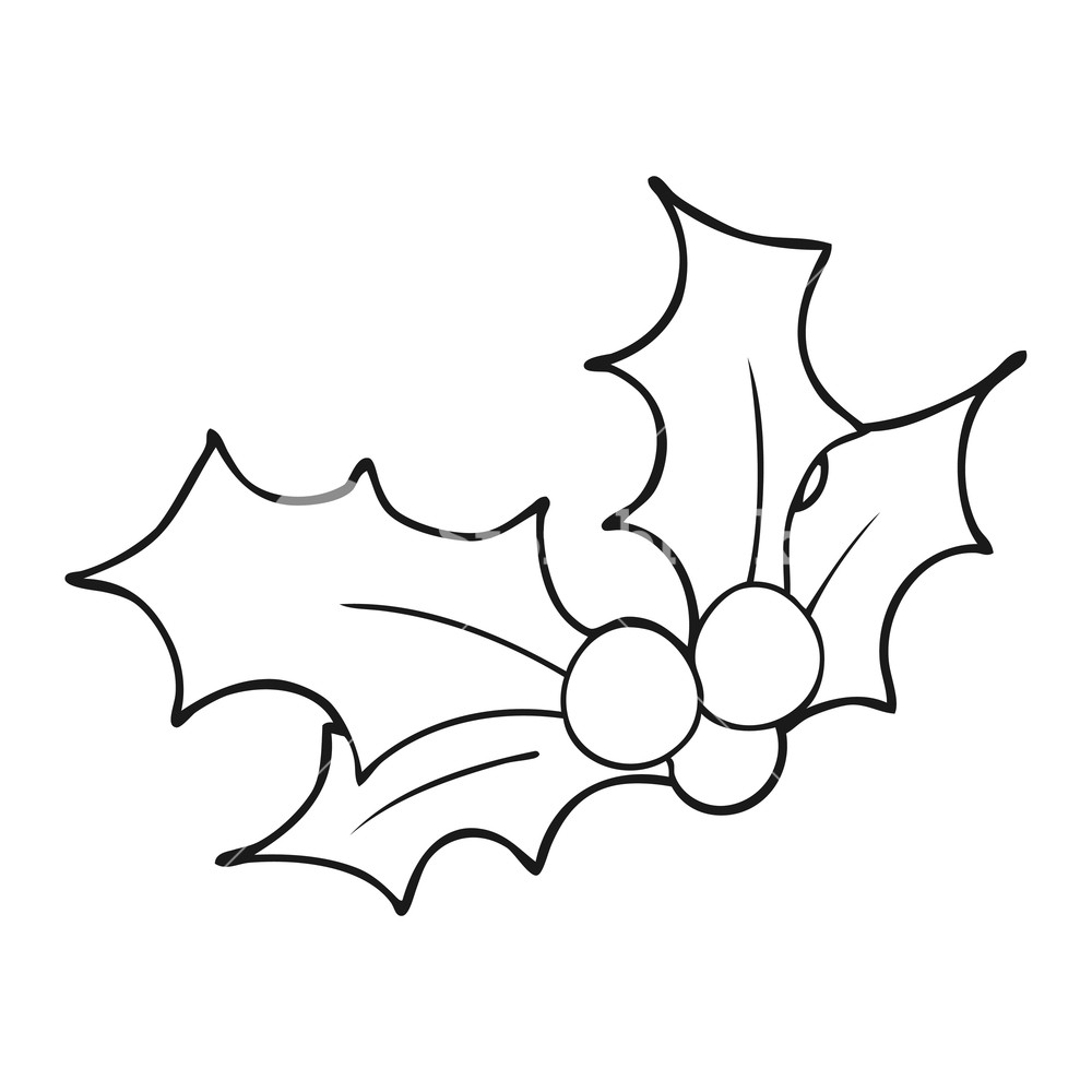 1000x1000 Freehand Drawn Black And White Cartoon Christmas Holly Royalty
