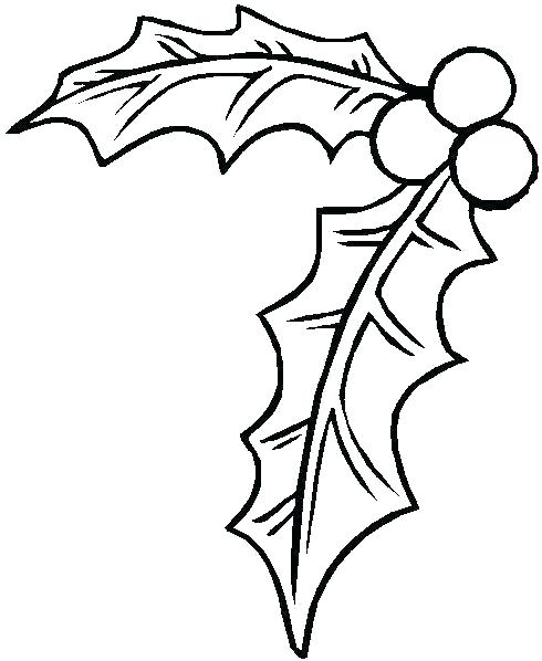 490x598 Christmas Holly Coloring Pages