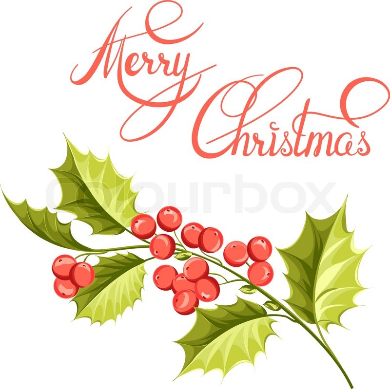 800x799 Christmas Mistletoe Branch Drawing Stock Vector Colourbox