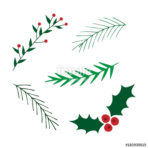 500x500 Hand Drawn Christmas Set Mistletoe And Leavy Branches Vector