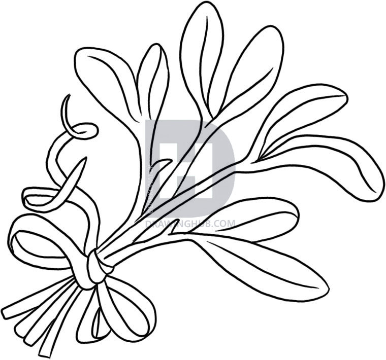 760x710 How To Draw Mistletoe, Step