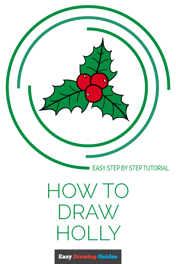600x900 How To Draw Holly For Christmas