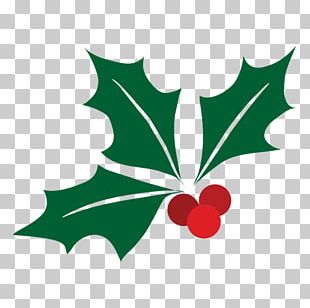 310x308 Mistletoe Christmas Phoradendron Tomentosum Holly Png, Clipart
