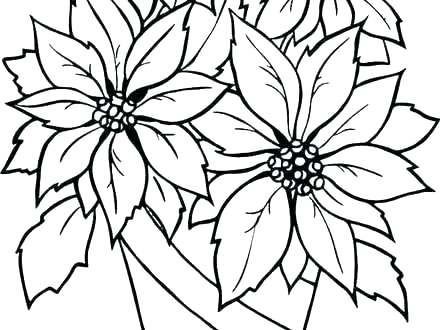 440x330 Coloring Pages Christmas Flower Coloring Pages Poinsettia