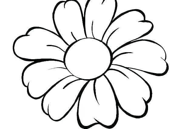 600x425 Free Poinsettia Printable Coloring Pages Sheet Christmas Hard