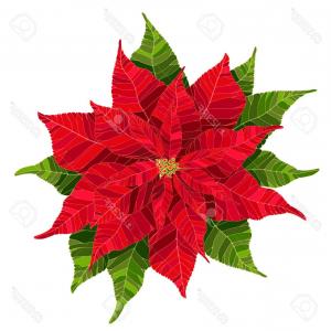 300x300 Photostock Vector Christmas Floral Vector Drawing Set With Holly