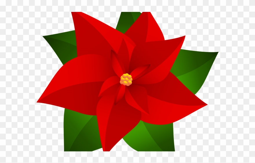 880x561 Poinsettia Clipart Top Border