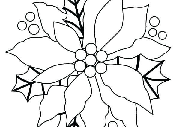 600x425 Poinsettia Coloring