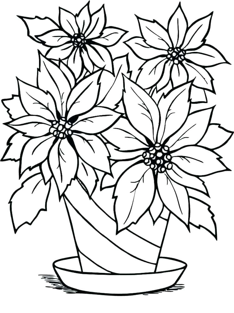 Poinsettia Coloring Page Printable