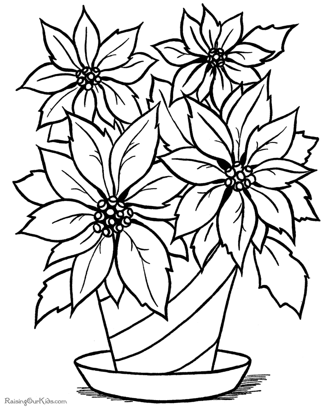 670x820 Christmas Flower Printable Coloring Page! Coloring Pages