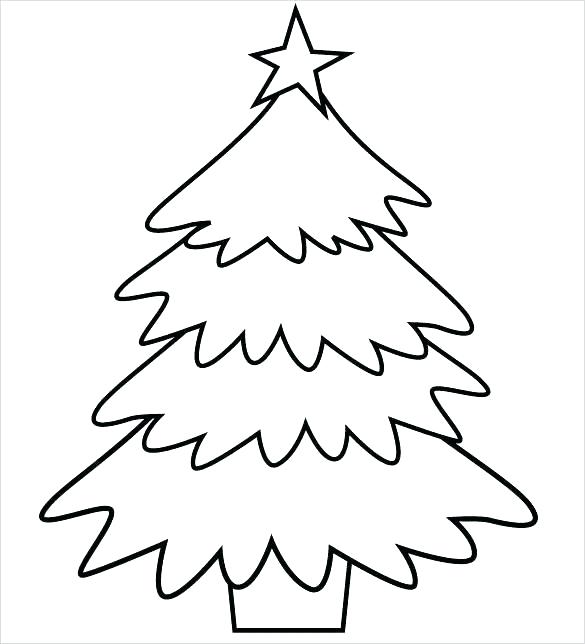 585x644 Tree Printable Coloring