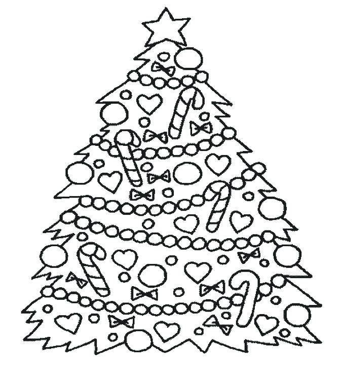 675x756 Christmas Tree Picture For Coloring