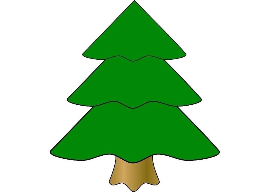 900x640 Drawing Of A Christmas Tree Christmas Tree Drawing Pictures