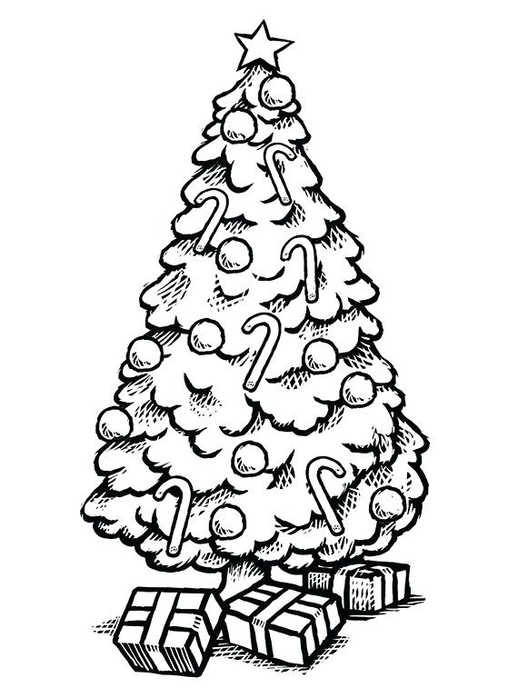 570x768 Xmas Tree Drawing