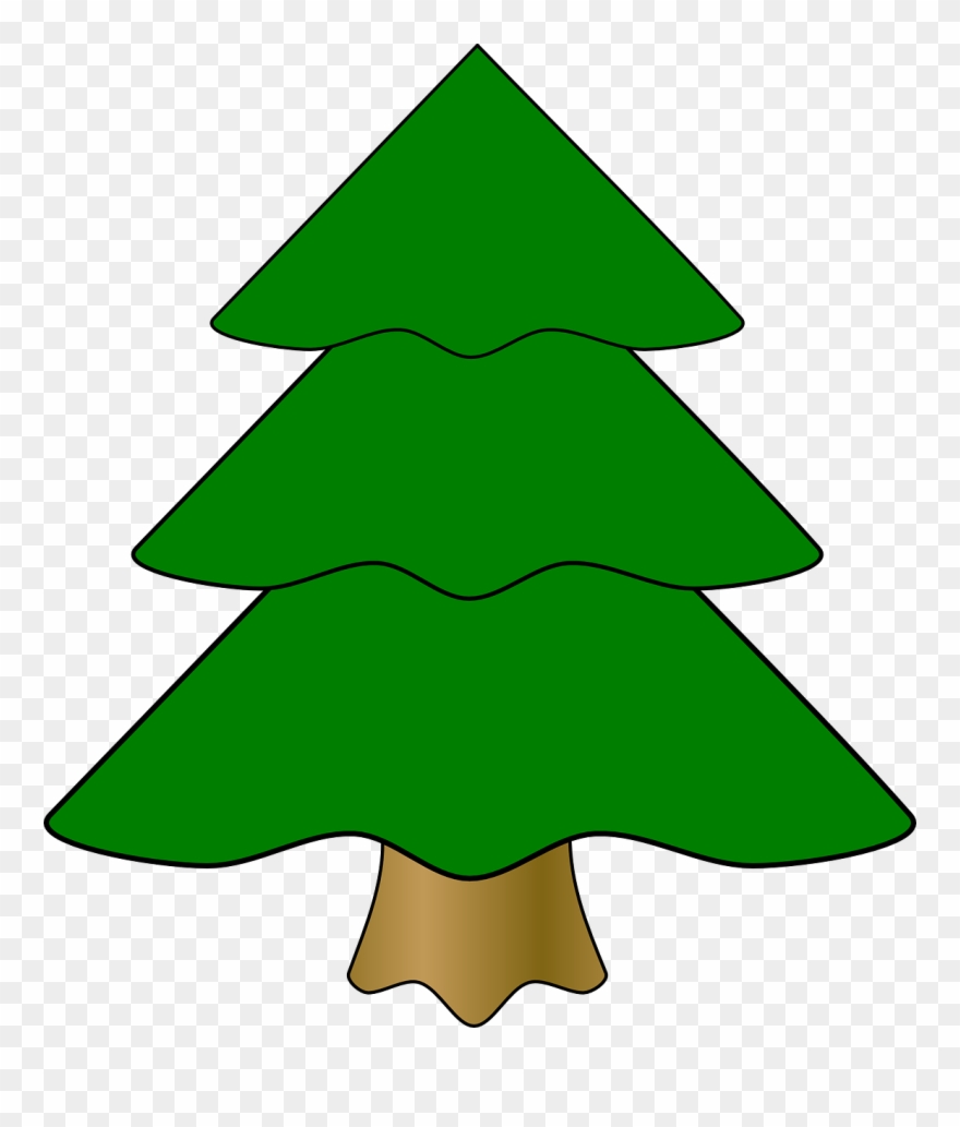 880x1033 Pine Tree Cartoon Buy Clip Art